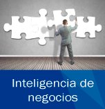 inteligencia negocios